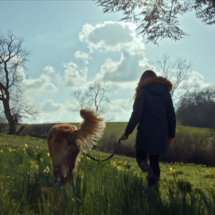 Blonde girl walking golden retriever dog