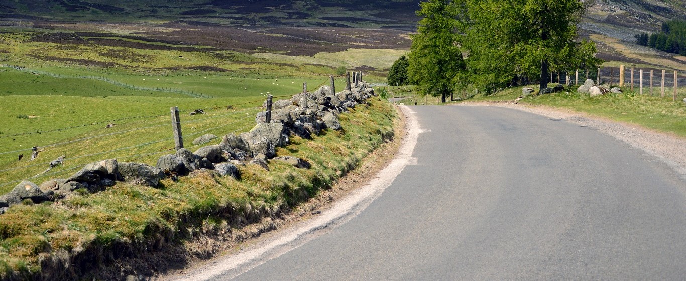 rural road with a mountain and tree